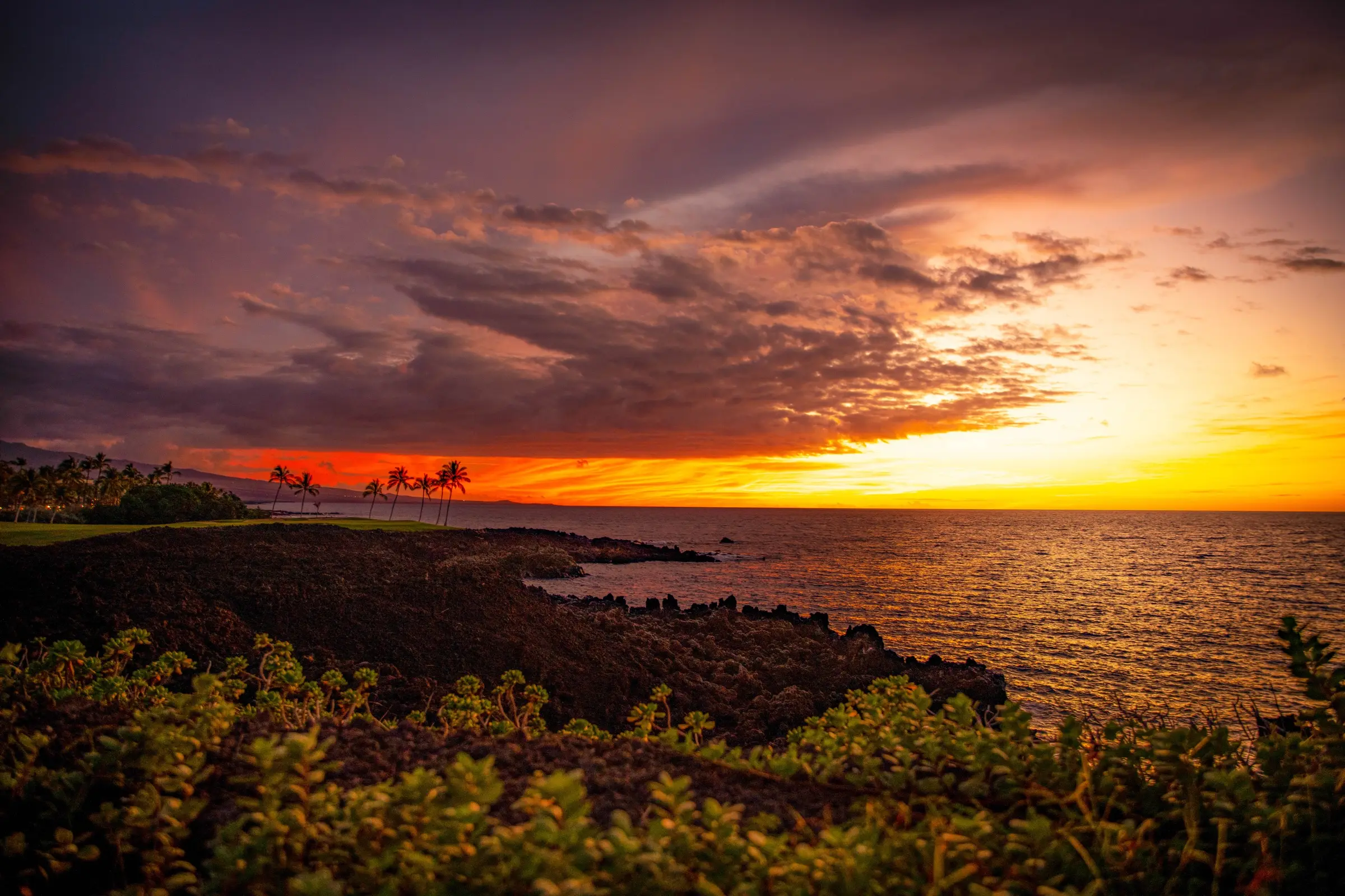 Fiery sunset over the lava coastline and palms of the Kohala Coast, Hawaiʻi Island