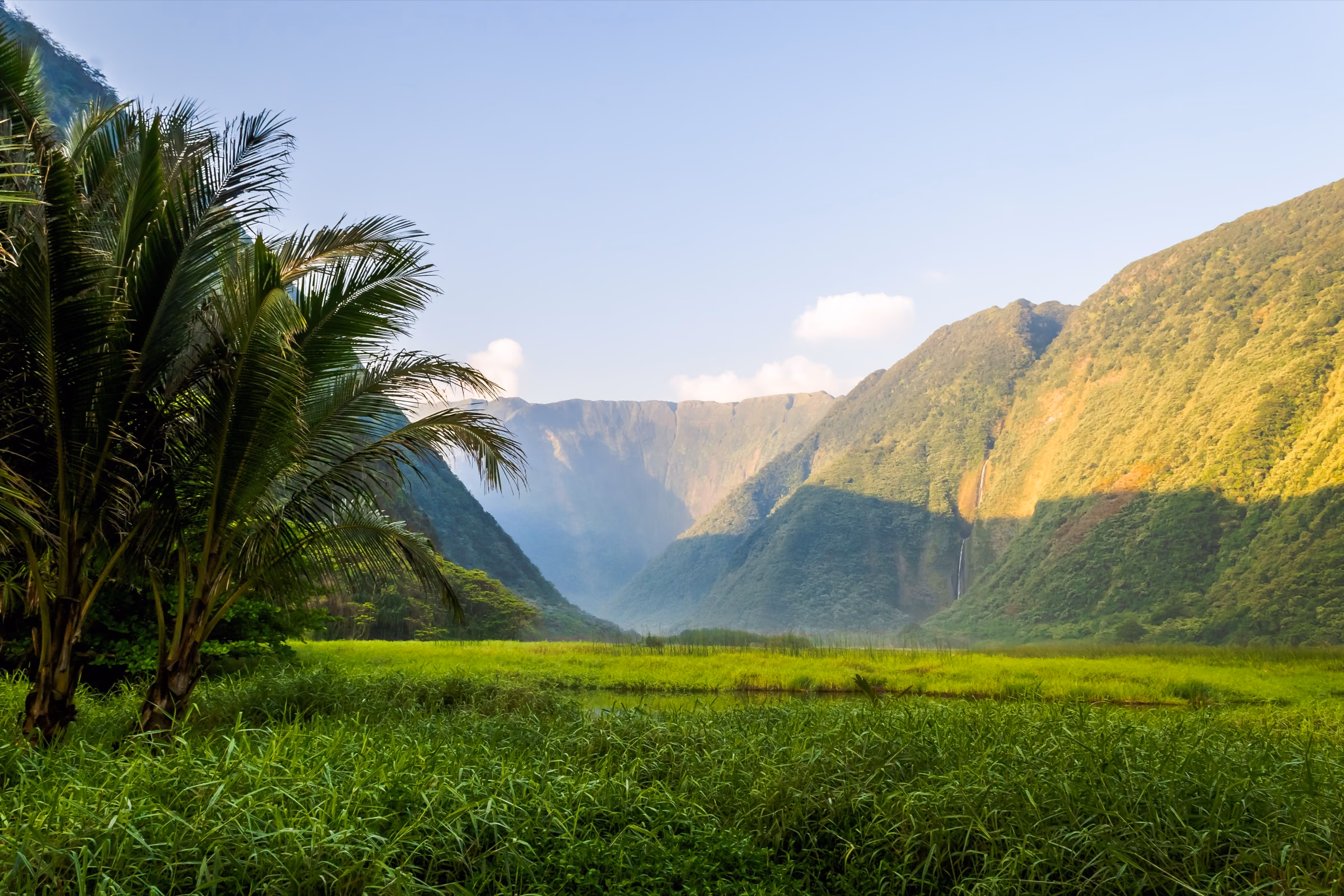 Lush waterfall valley framed by palms on Hawaiʻi Island
