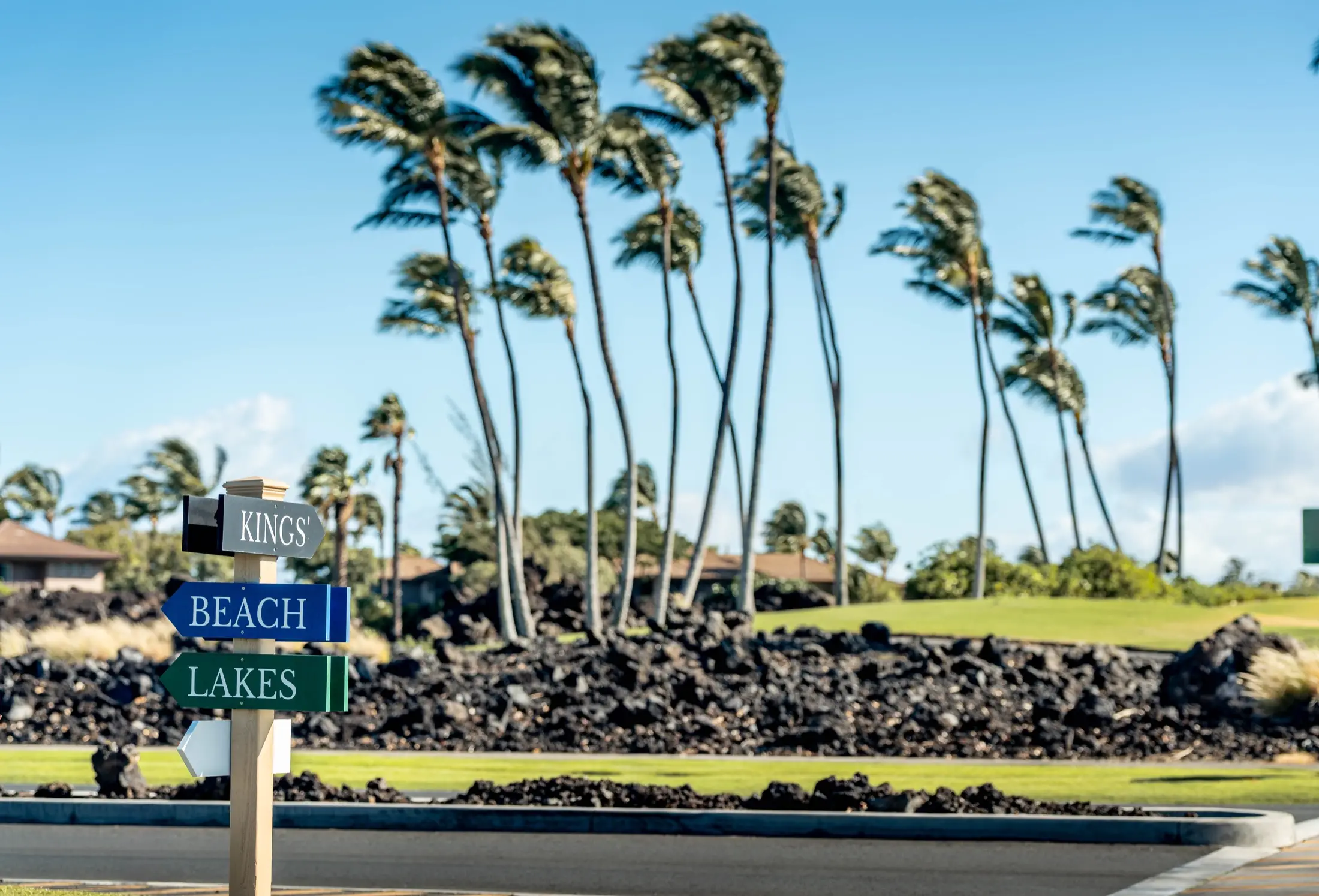 Directional signpost to beaches and lakes among windswept palms on Hawaiʻi Island