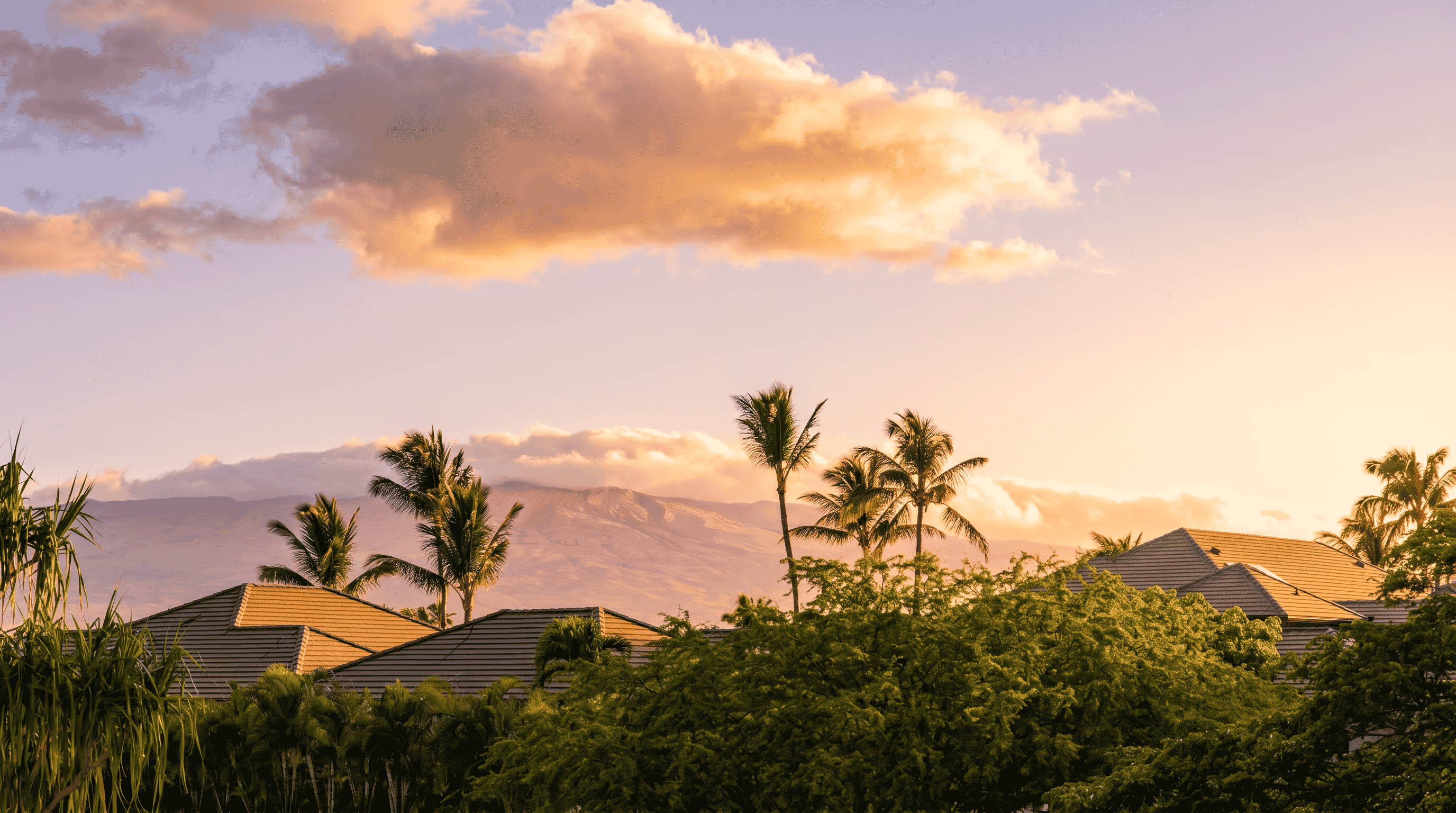 Soft dawn light over palms and island homes with Mauna Kea beyond, Hawaiʻi Island