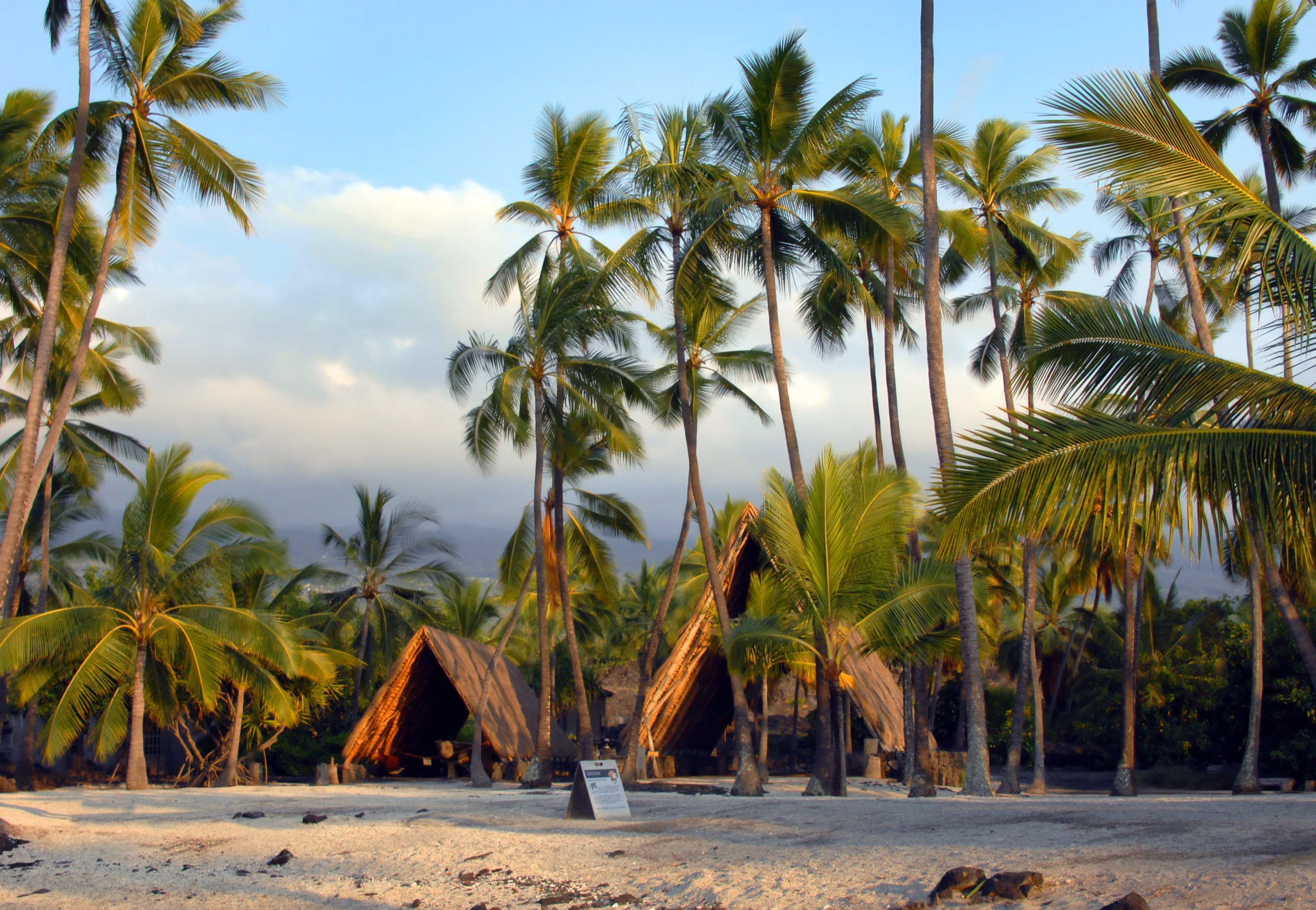 Palm grove and traditional Hawaiian hale on the white sand at Puʻuhonua o Hōnaunau, Hawaiʻi Island