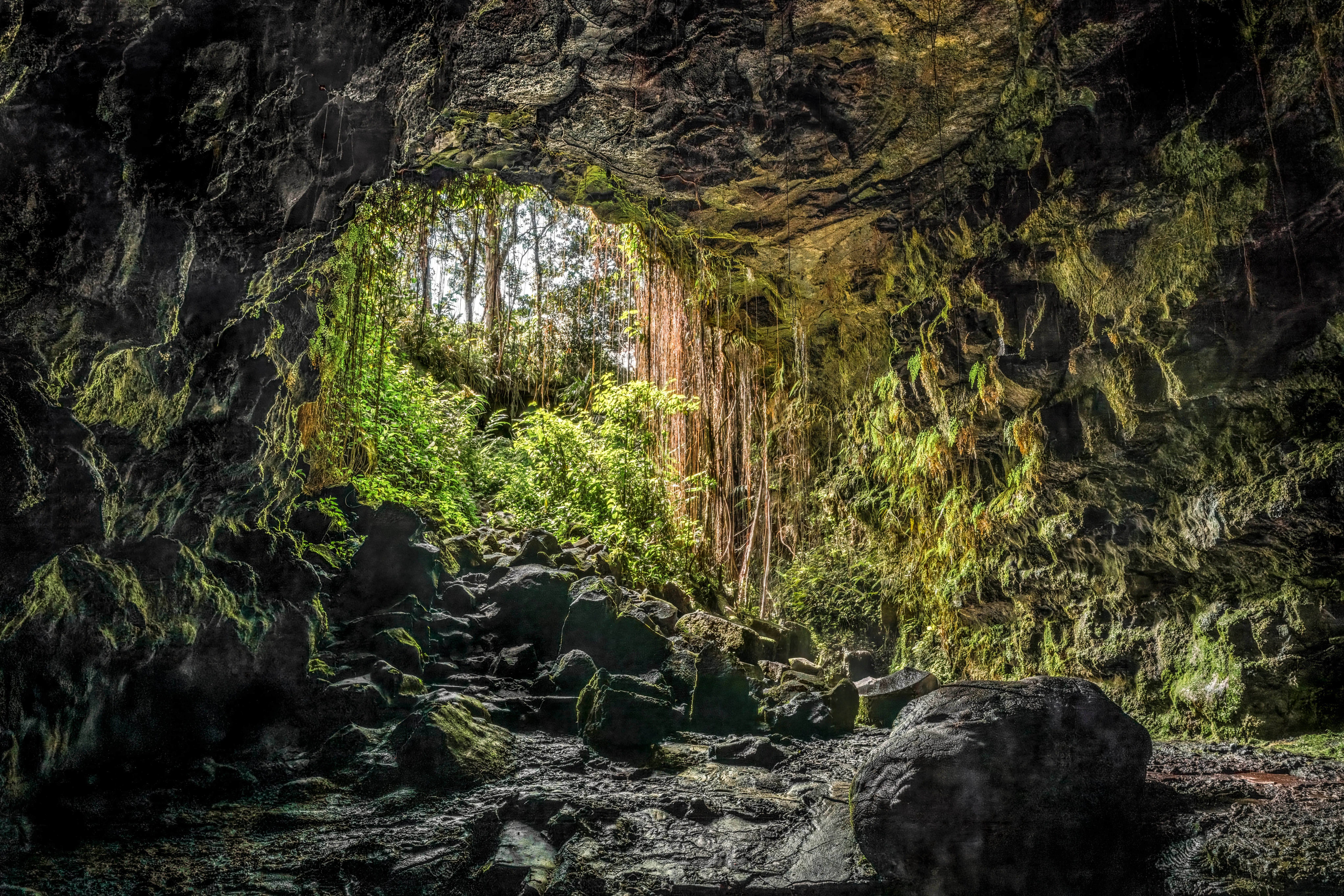 Lush greenery and daylight spilling into the mouth of a lava-tube cave on Hawaiʻi Island