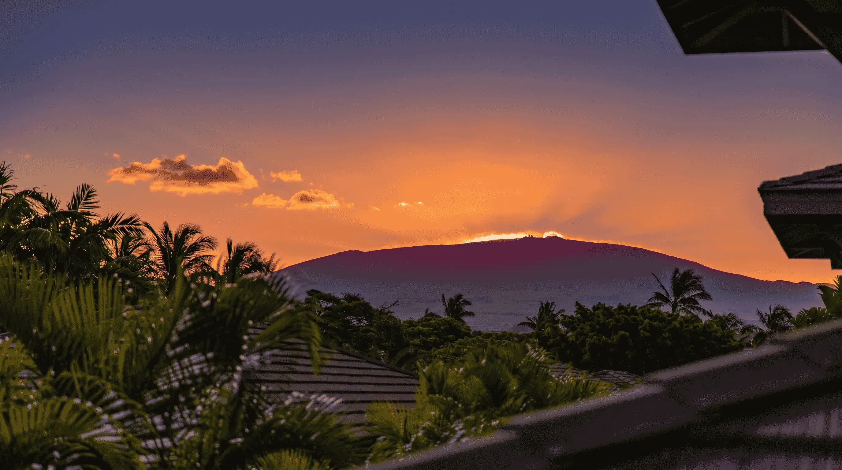 Fiery sunset over Mauna Kea framed by palms, Hawaiʻi Island